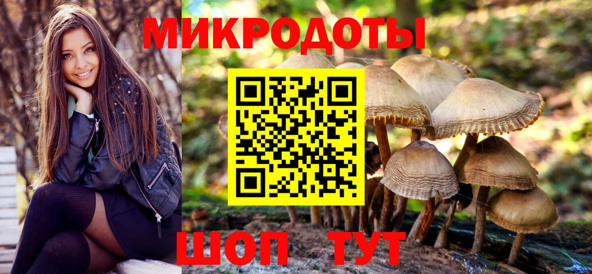 Галлюциногенные грибы прущие грибы  Вход с VPN  Псилоцибиновые грибы прущие грибы  Саров 