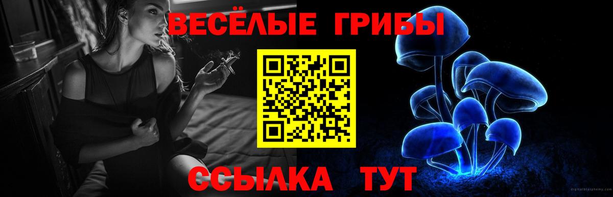 Псилоцибиновые грибы Psilocybe Саров